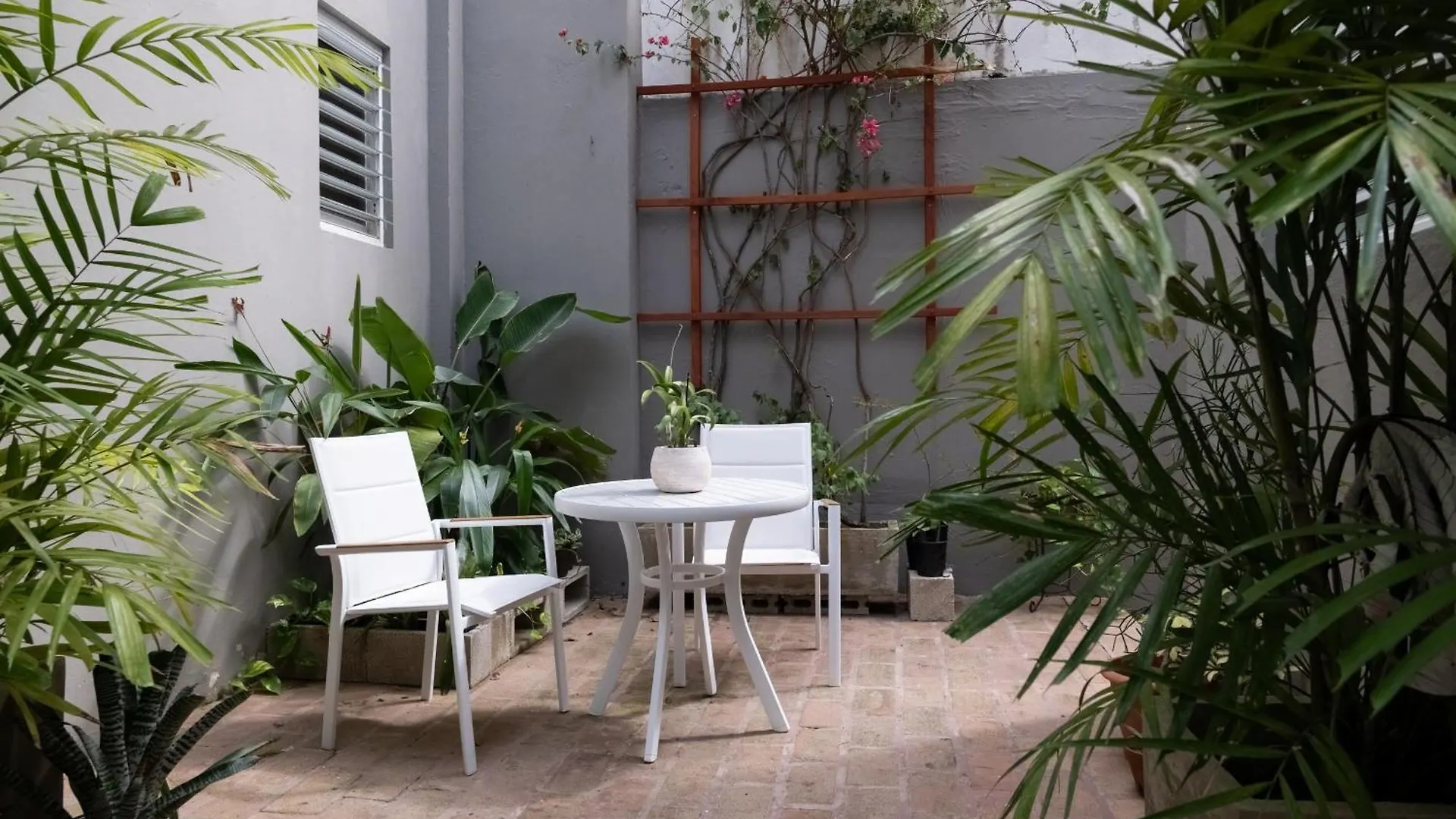 公寓 Seaside Caribbean Comfort - Between Beach And City 圣胡安